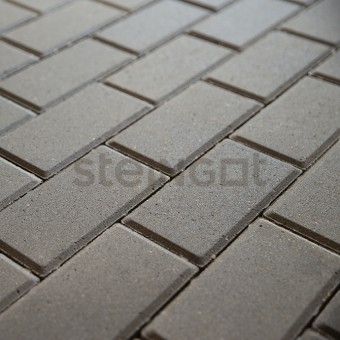 Тротуарная плитка Прямоугольник 200*100*60 Серый (полный прокрас, минифаска)
